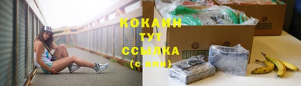 молекула духа Лагань