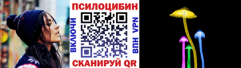 Псилоцибиновые грибы Psilocybe  Алатырь 